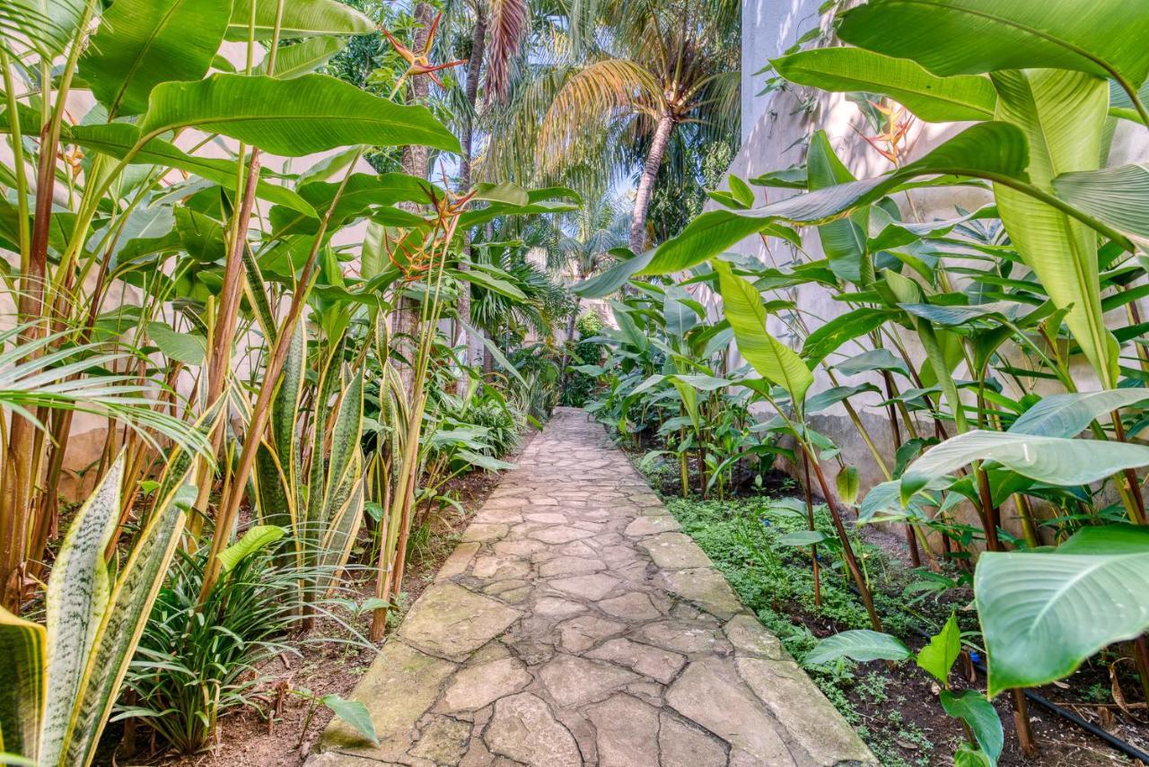 Boutique Hotel Secret Garden Granada Esterno foto